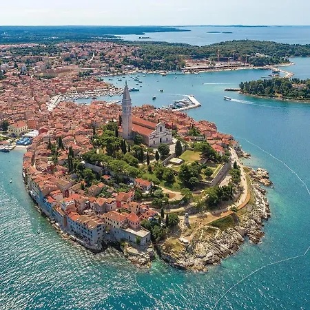 Pet Friendly In With Kitchen Prázdninový dům Rovinj